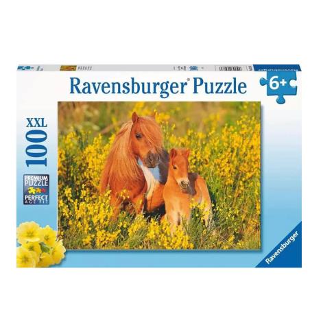 Shetland Pony XXL 100pc Jigsaw Puzzle  £10.99