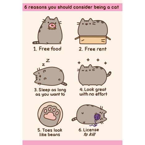 6 Reasons Pusheen Card   £2.10