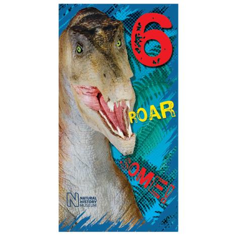 Roar-some 6th Birthday Natural History Museum Birthday Card  £1.99