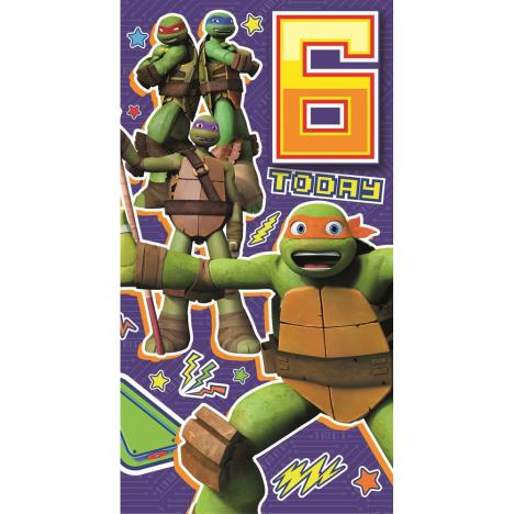 6th Birthday Teenage Mutant Ninja Turtles Birthday Card  £2.40