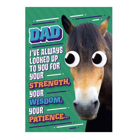 Funny Horse Eyes Father