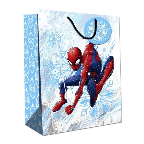 Spiderman Large Christmas Gift Bag  £2.00