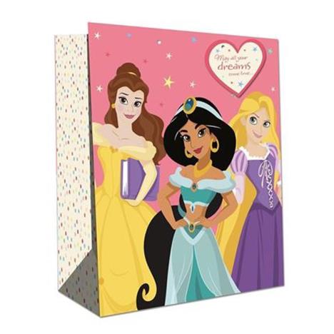 Disney Princess Large Gift Bag  £2.20