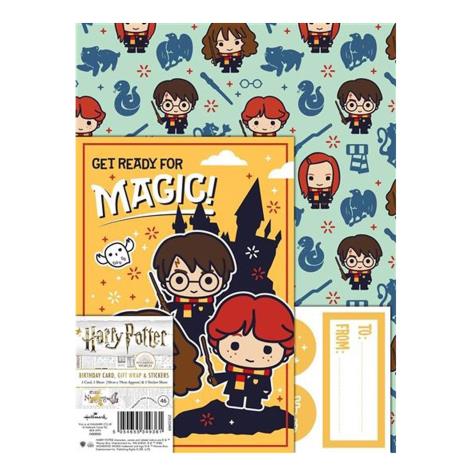 Harry Potter Birthday Card, Gift Wrap & Stickers Set  £1.55