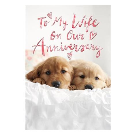 To My Wife Puppies Anniversary Card  £1.00