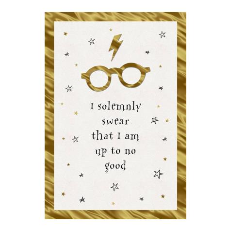 Harry Potter Up To No Good Birthday Card  £1.99