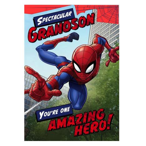 Spectacular Grandson Spiderman Birthday Card  £2.65