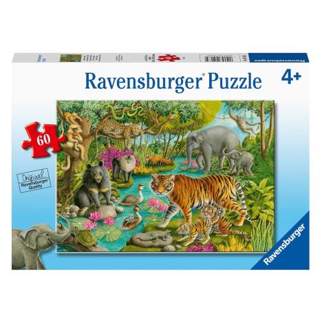 Animals of India 60pc Jigsaw Puzzle   £5.99