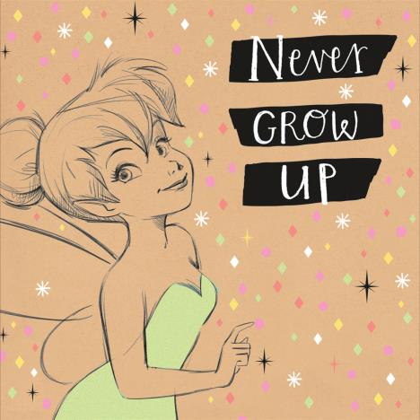 Never Grow Up Tinkerbell Disney Faries Birthday Card  £1.99