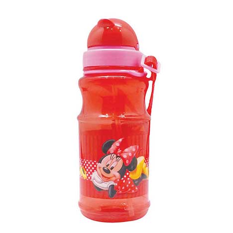 500ml Minnie Mouse Drinks Bottle  £2.99