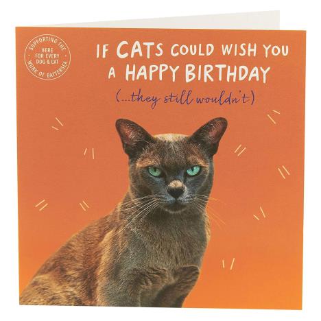 Battersea Cat Humour Birthday Card   £2.50