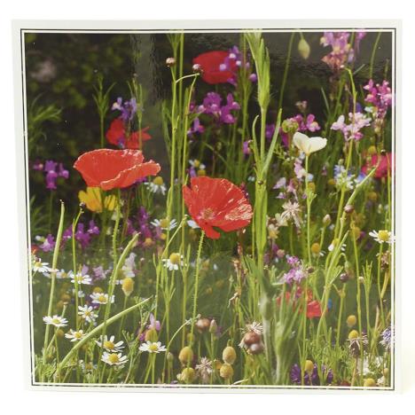 Royal Horticultural Society Wild Poppies Card   £2.50