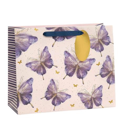 Butterfly Design Large Gift Bag   £2.90