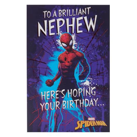 Brilliant Nephew Marvel Spiderman Birthday Card   £2.15