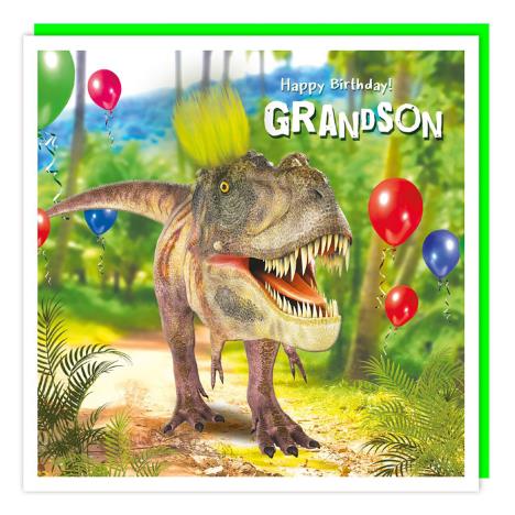 Fluff Party T-Rex Grandson Birthday Card   £3.05