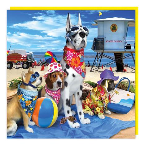 3D Holographic Dogs on Beach Card   £2.99