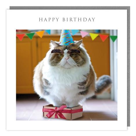 Grumpy Cat with Party Hat Birthday Card   £2.85