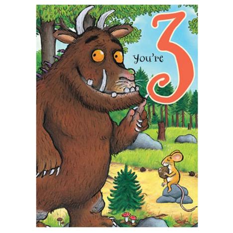 You Are 3 The Gruffalo 3rd Birthday Card  £1.85