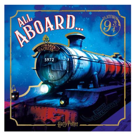 Harry Potter Hogwarts Express Birthday Card  £2.45