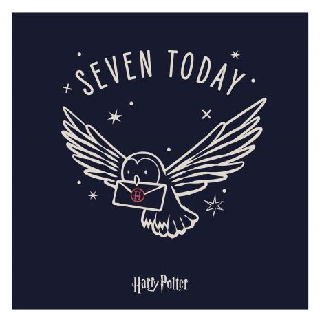 Seven Today Harry Potter 7th Birthday Card  £2.10