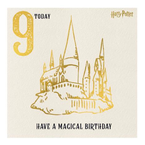 Nine Today Harry Potter 9th Birthday Card  £2.10