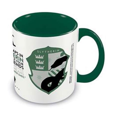 Harry Potter Slytherin House Pride Green Mug  £9.99