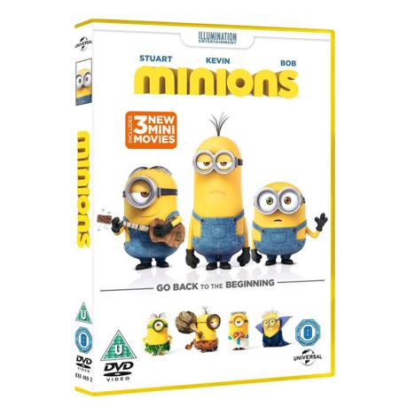 Minions Movie DVD  £14.99