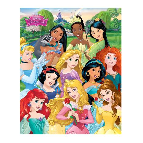 Disney Princess I am a Princess Mini Poster  £2.99