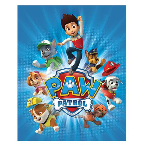 Paw Patrol Jump Mini Poster  £2.99