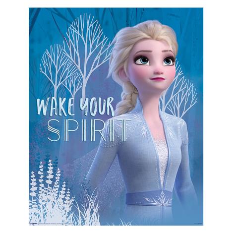 Disney Frozen 2 Wake Your Spirit Elsa Mini Poster  £2.49