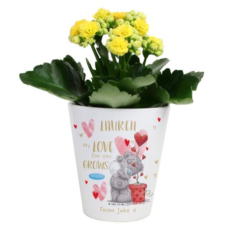 Personalised Hold You Forever Me to You Plant Pot   £16.99