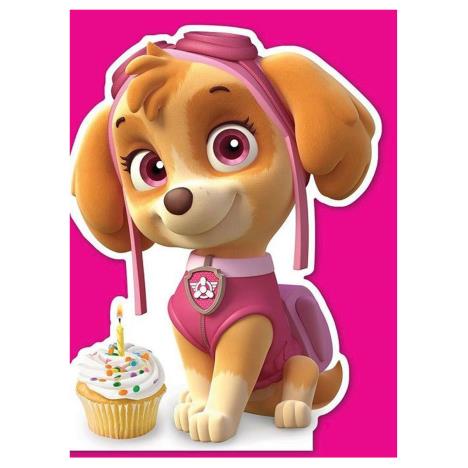 Paw Patrol Skye Shaped Birthday Card  £1.75