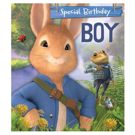 Peter Rabbit Birthday Boy Birthday Card  £2.45