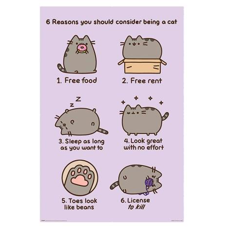 Pusheen Reasons to be a Cat Maxi Poster (PP34253) - Character Brands
