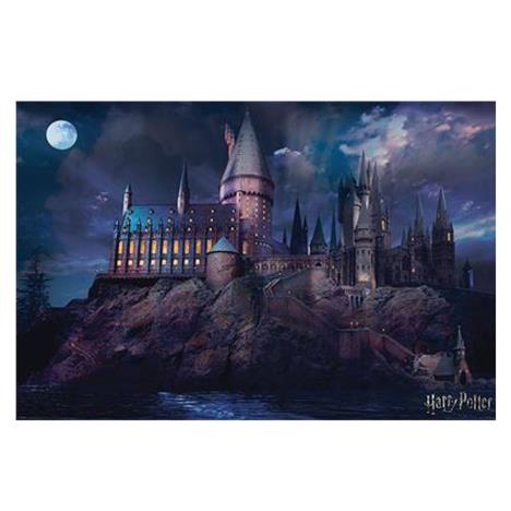 Harry Potter Hogwarts Maxi Poster  £4.99