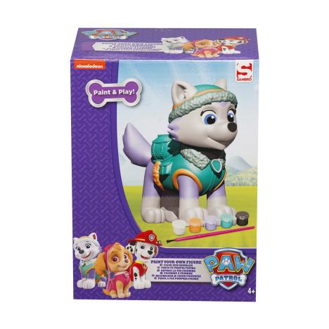 Paw Patrol Paint Your Own Everest Figure  £4.99