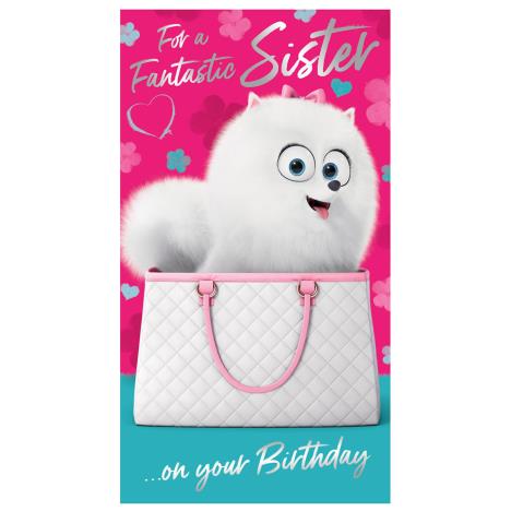 Sister The Secret Life Of Pet Birthday Card  £2.45