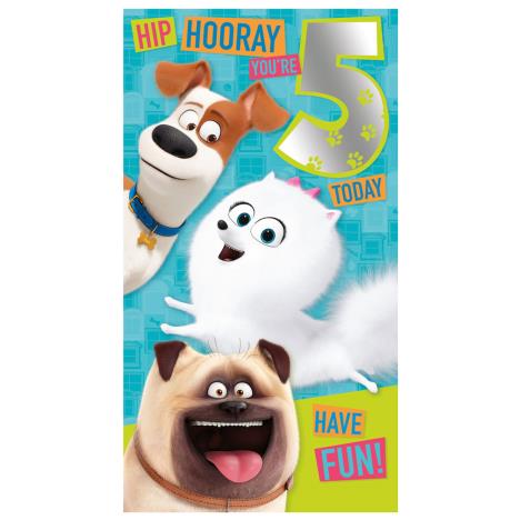 5 Today The Secret Life Of Pets 5th Birthday Card  £2.45