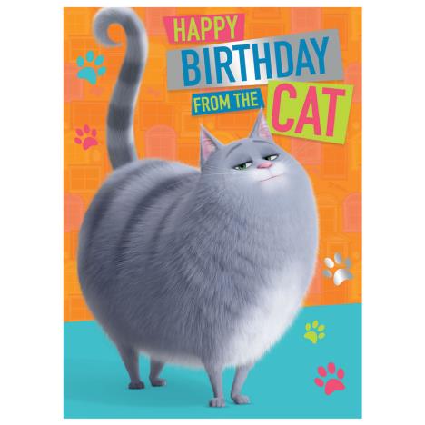 From The Cat The Secret Life Of Pet Birthday Card  £1.75