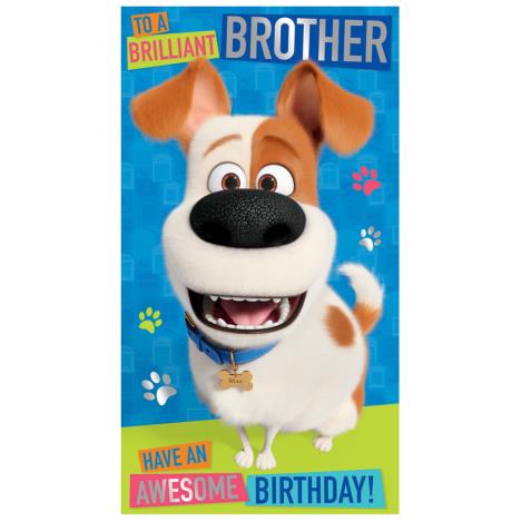 Brother The Secret Life Of Pet Birthday Card  £2.45