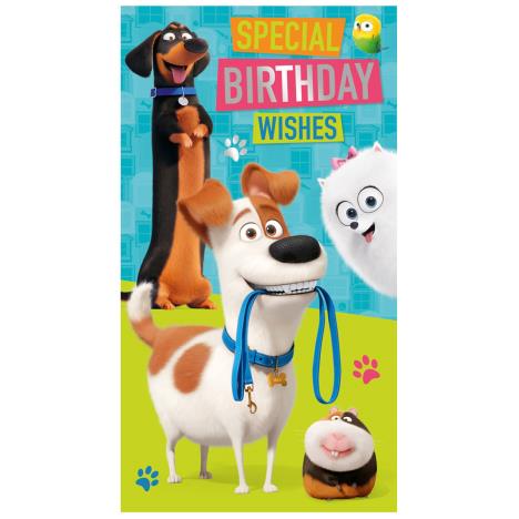 Birthday Wishes The Secret Life Of Pets Birthday Card  £2.45