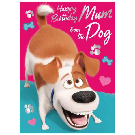 Mum From The Dog The Secret Life Of Pets Birthday Card  £1.75