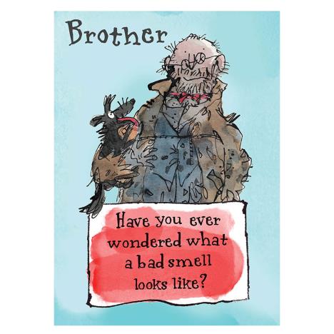 Brother Mr Stink David Walliams Birthday Card  £1.75